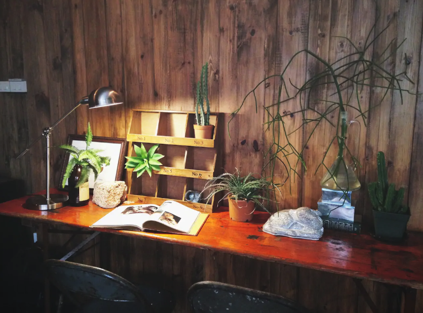 Study area of The Wolf room