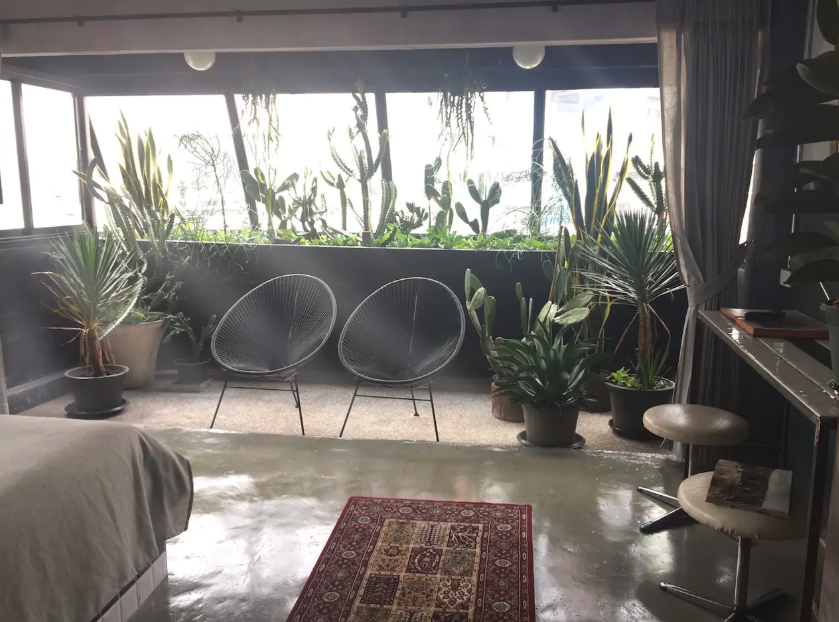 Interior of Octopus' Garden room