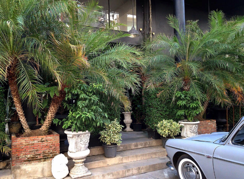 Entrance way of The Mustang Nero Hotel