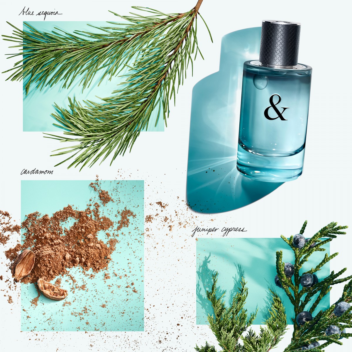 Tiffany & Love For Him perfume