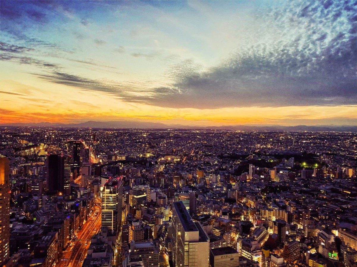 tokyo evening view