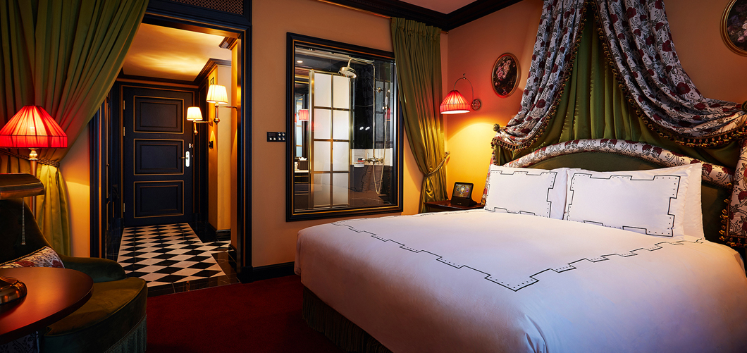 Overview of Mini deluxe room