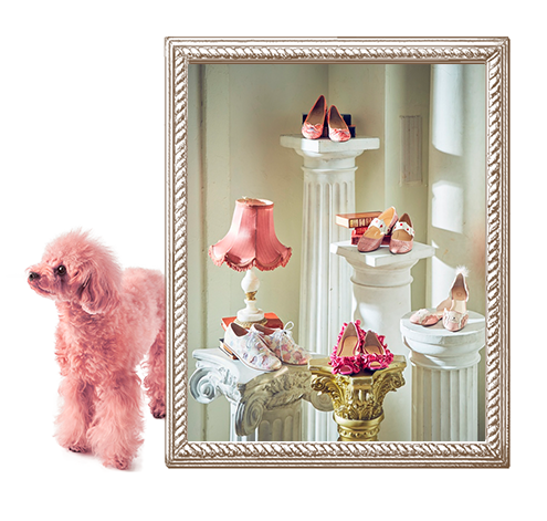 HIMIKO shoes with poodle designs