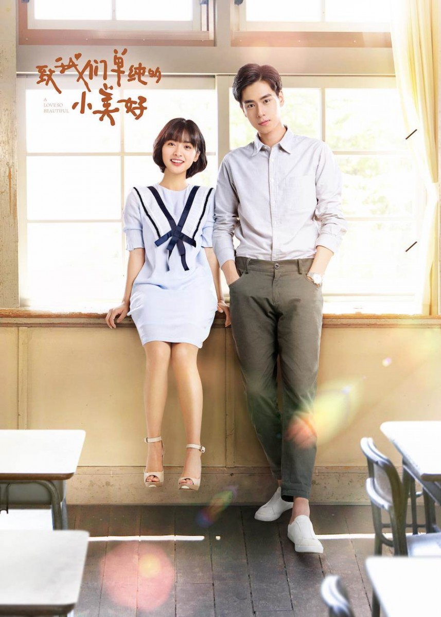 poster of a love so beautiful