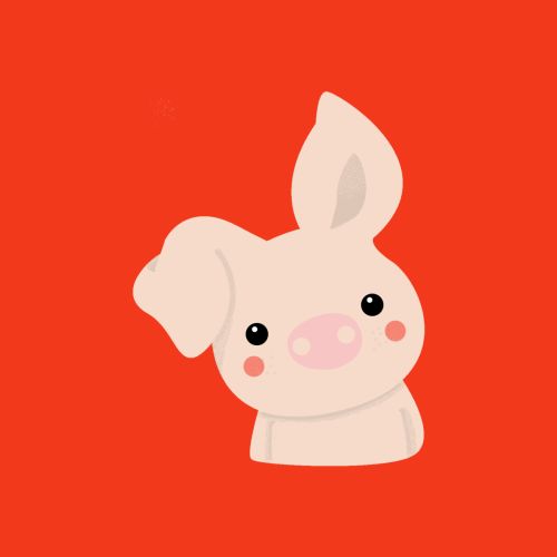 Pig