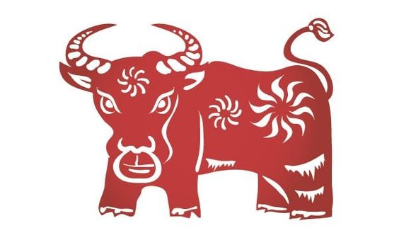 Ox
