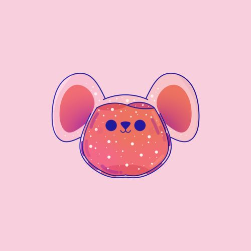 Rat