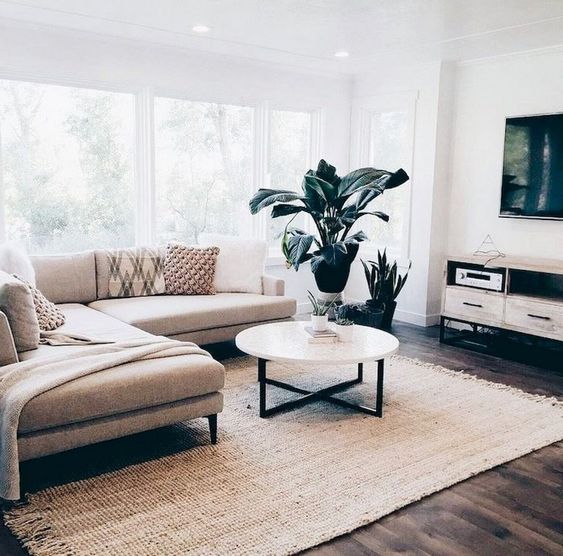 Living room with rug