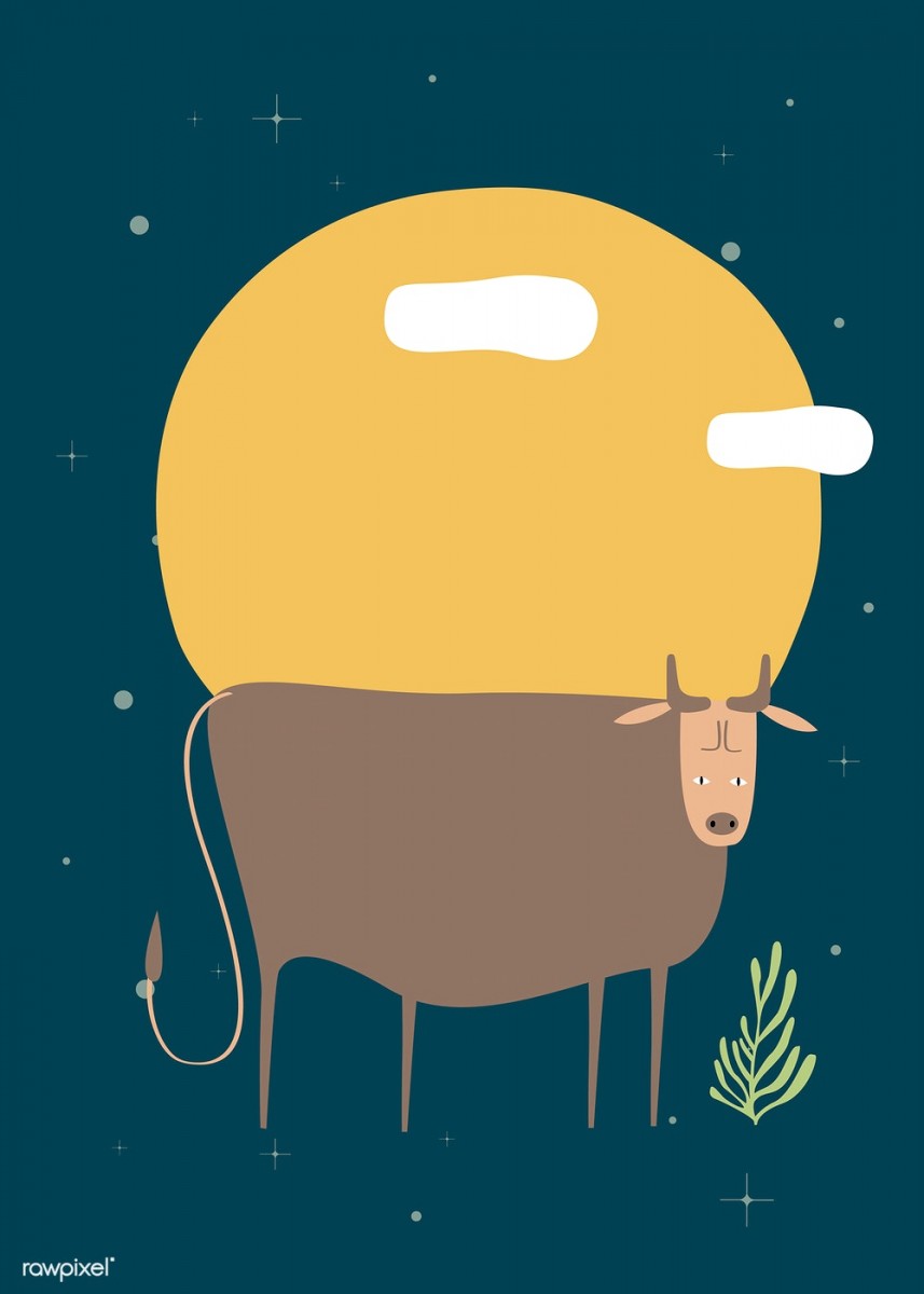 ox