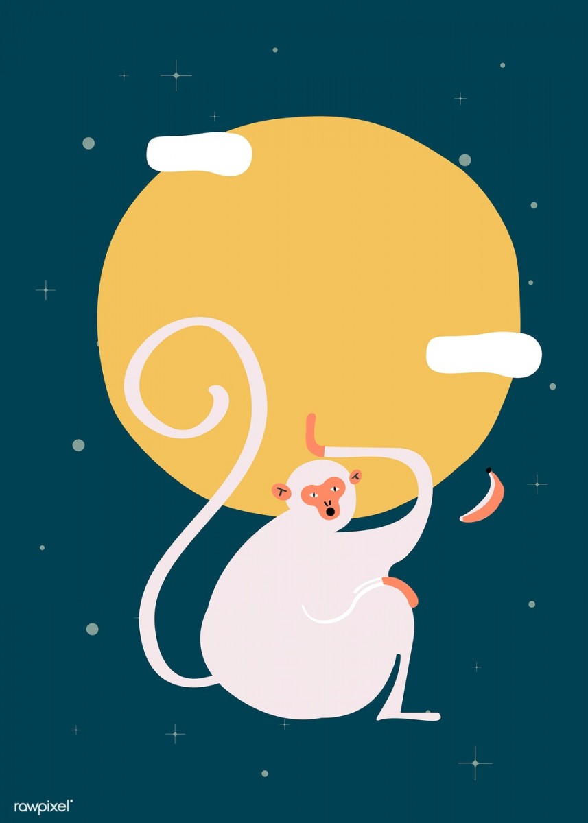 monkey