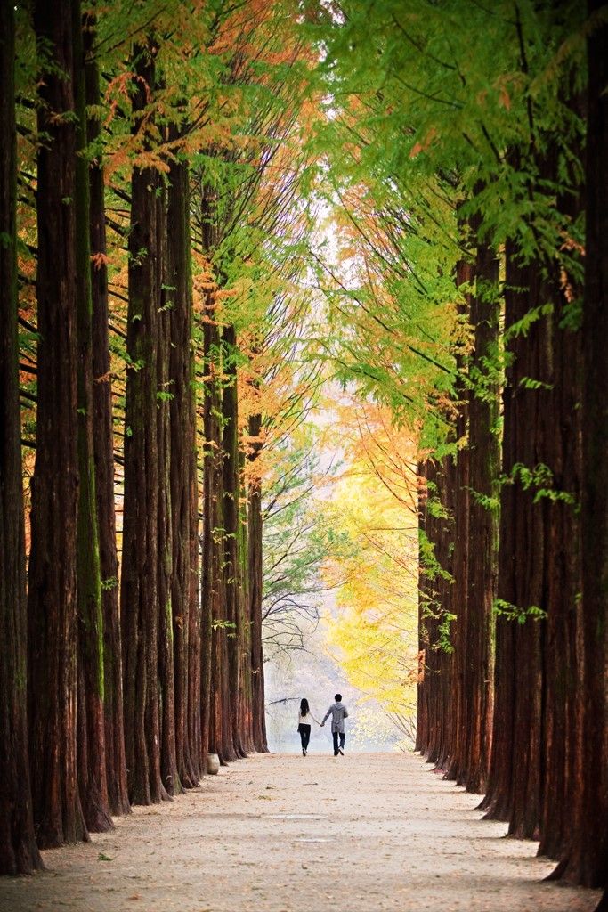 Nami Island