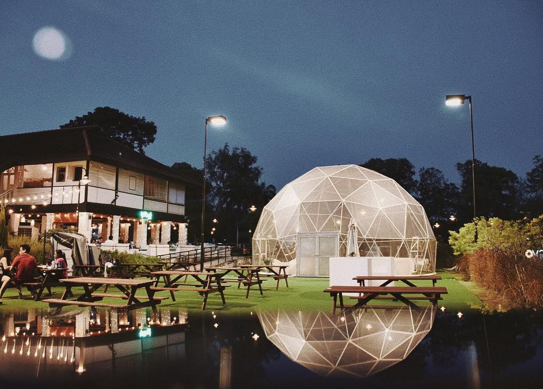 Wildseed Cafe at night