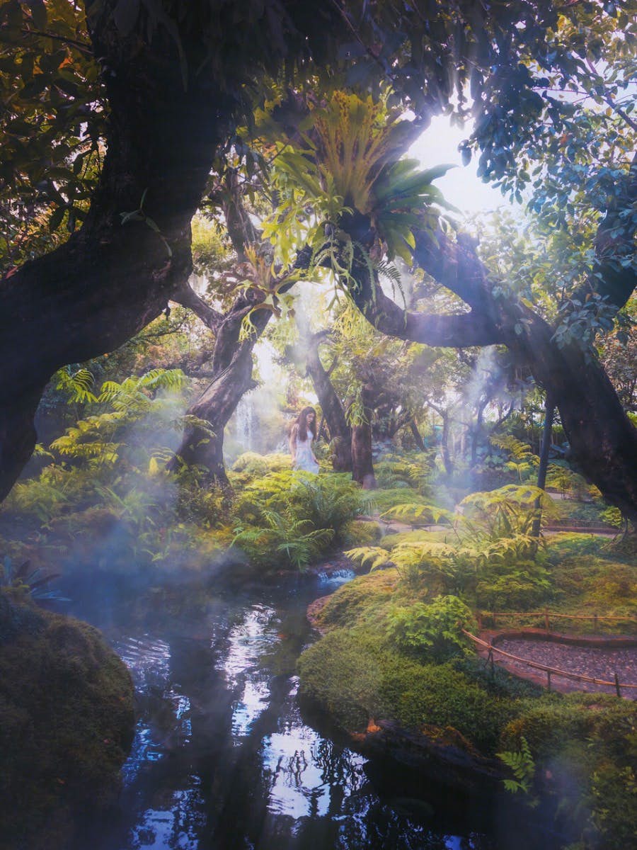 Girl walking in the forest