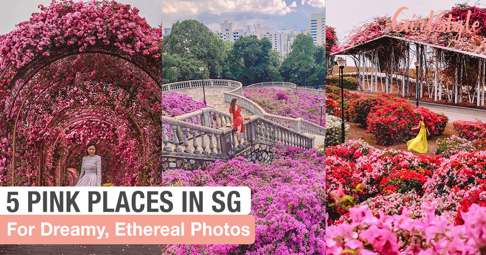 5 Places In Singapore To Get Dreamy & Ethereal Pink Photos