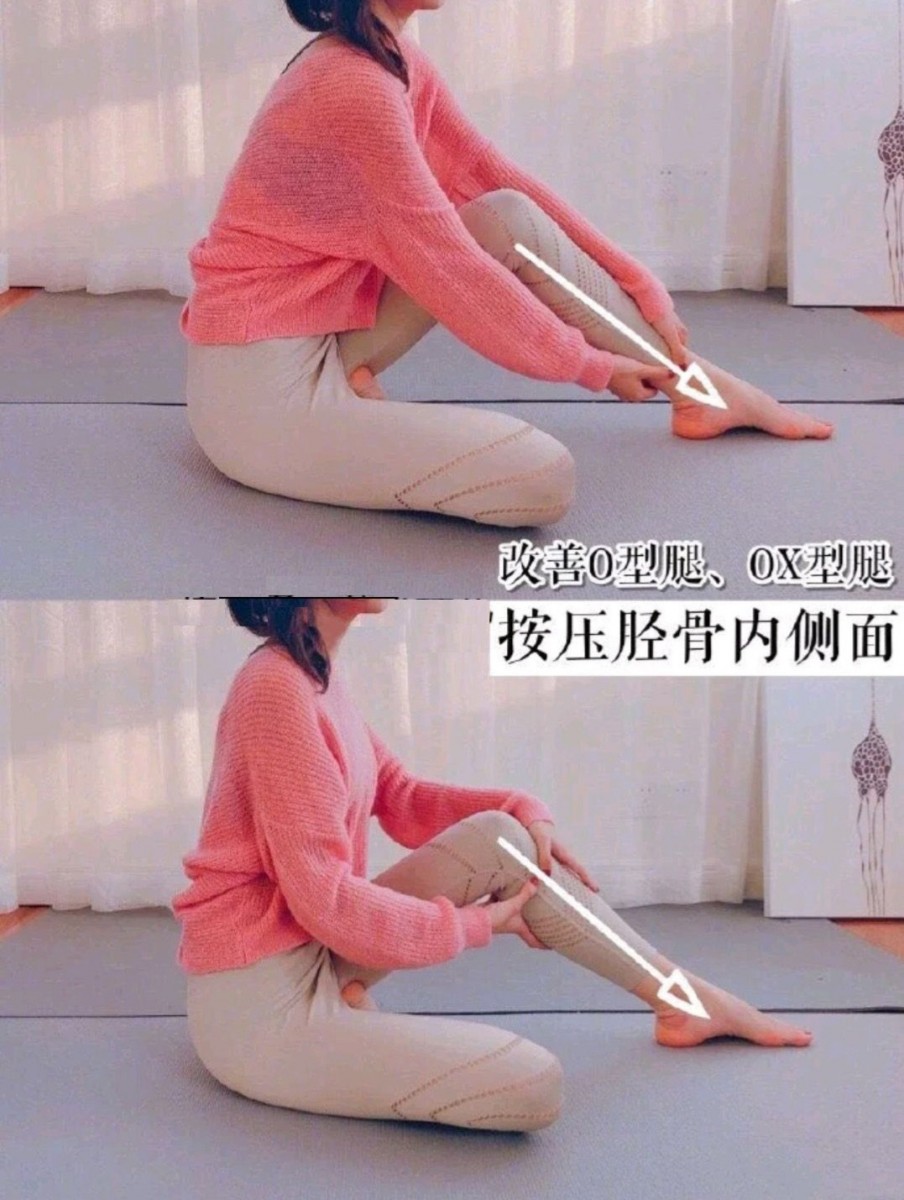 Blender Bottle via 小红书