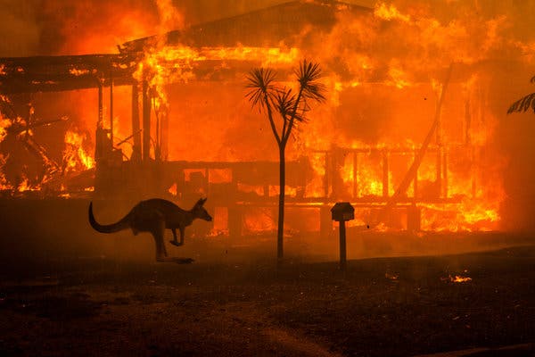 Australia bushfire