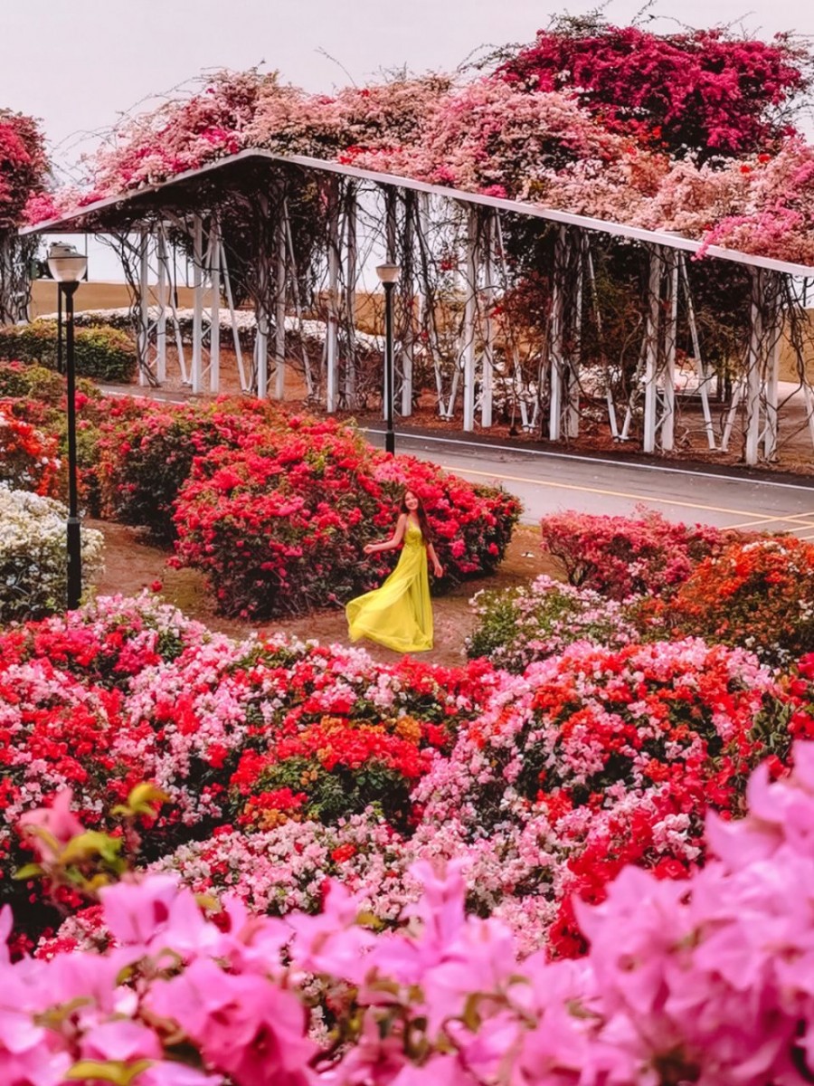 5 Places In Singapore To Get Dreamy & Ethereal Pink Photos