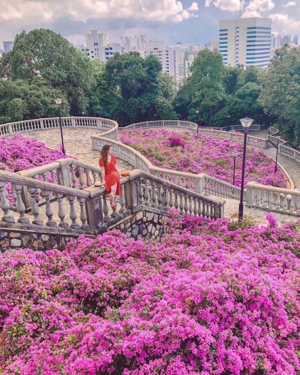 5 Places In Singapore To Get Dreamy & Ethereal Pink Photos