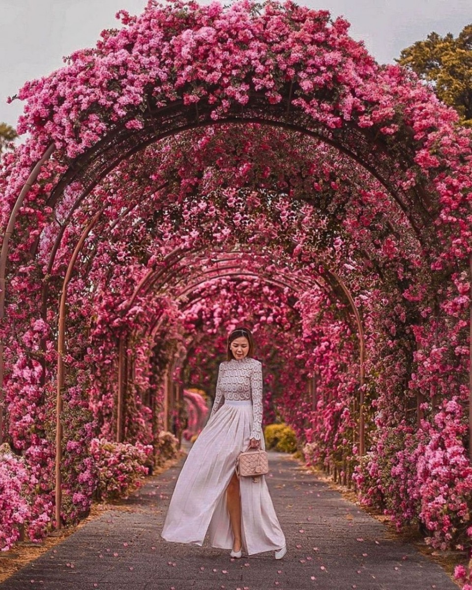 5 Places In Singapore To Get Dreamy & Ethereal Pink Photos