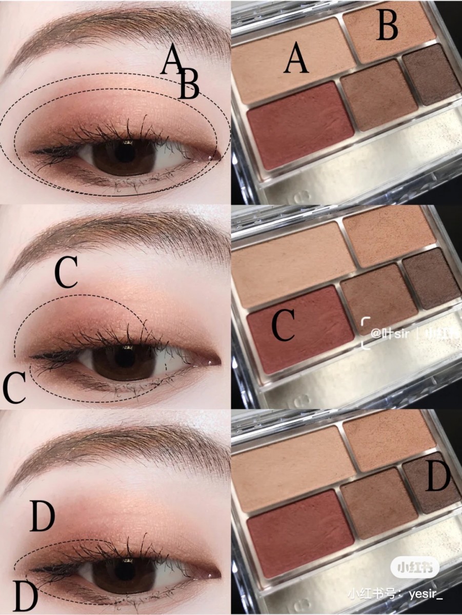 How to apply reddish brown eyeshadow