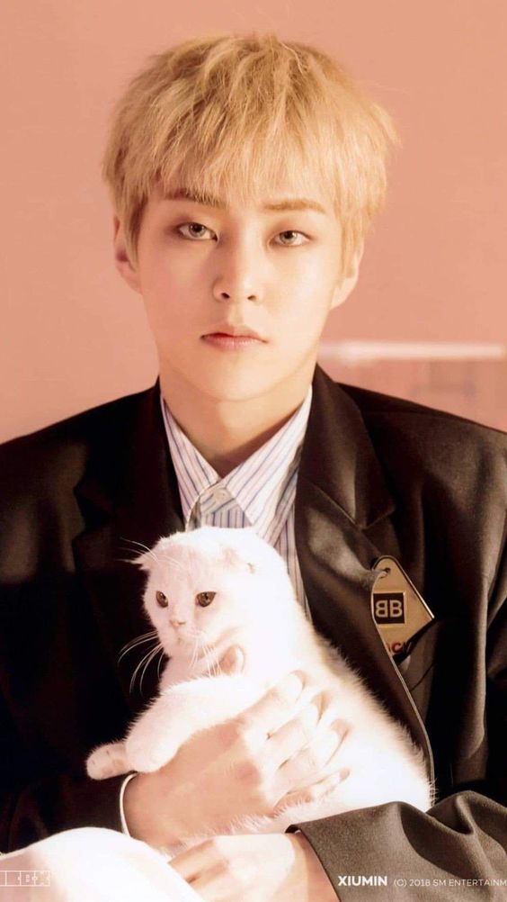 Xiumin (EXO)