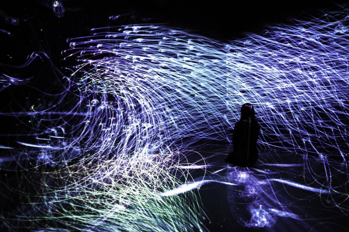 The Way of Birds colourful light display