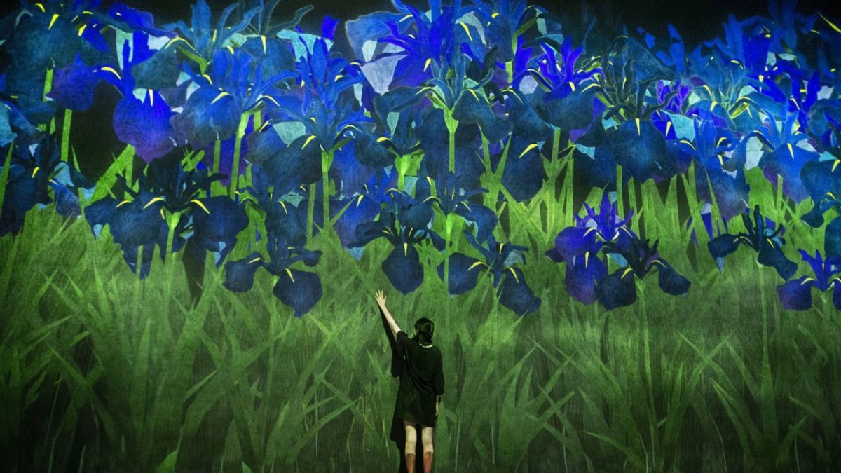 Proliferating Immense Life - A Whole Year per Year blue flowers display