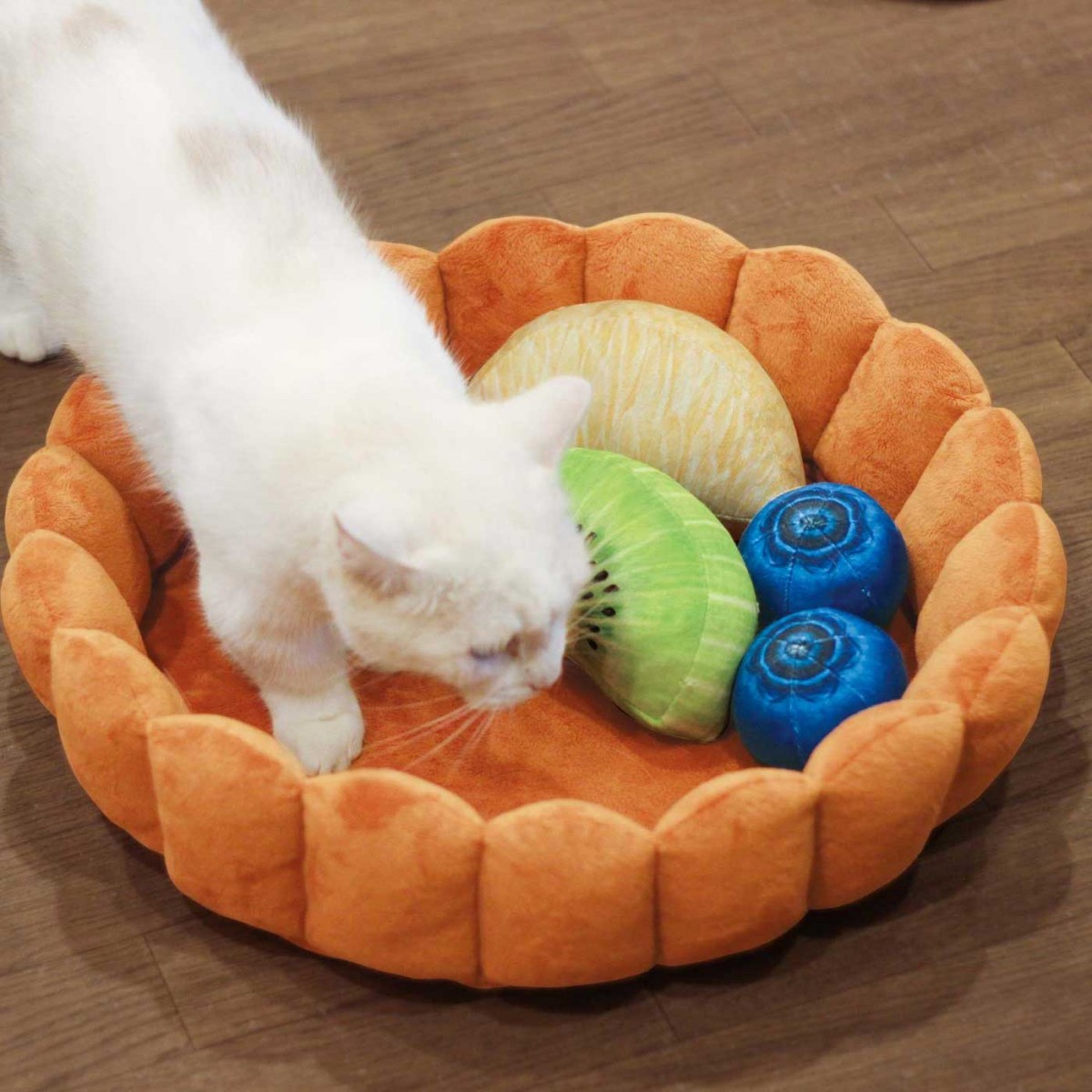 cat climbing into You+More! Fruit tart bed