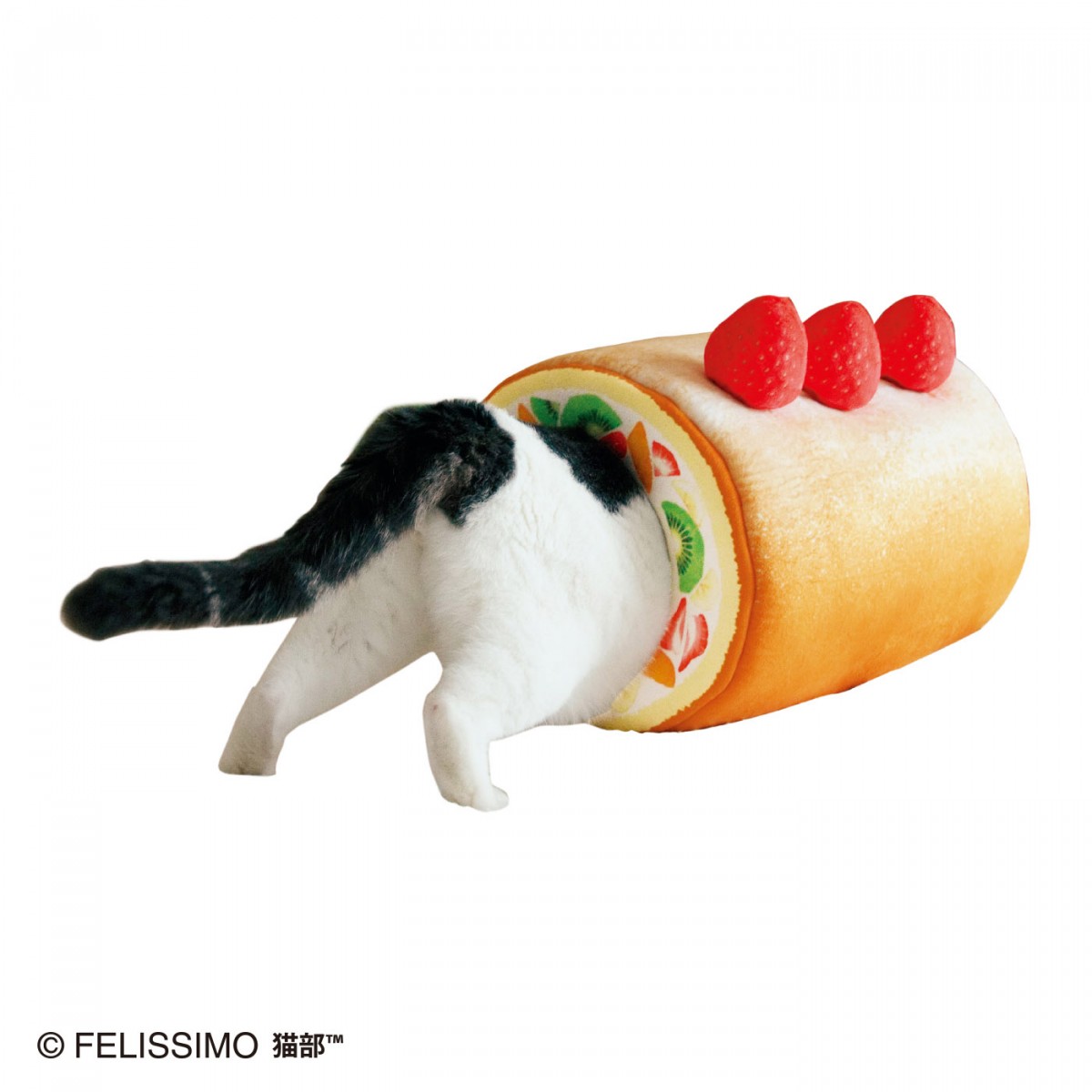 You+More! cream roll cake tunnel with cat's butt trying to climb in