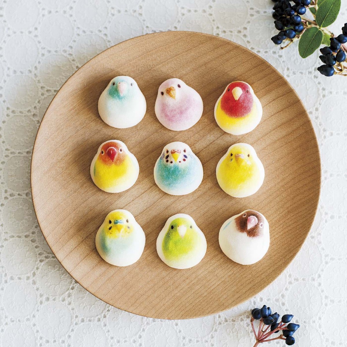 parakeets parrots marshmallows on a plate
