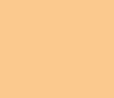 Orange colour corrector