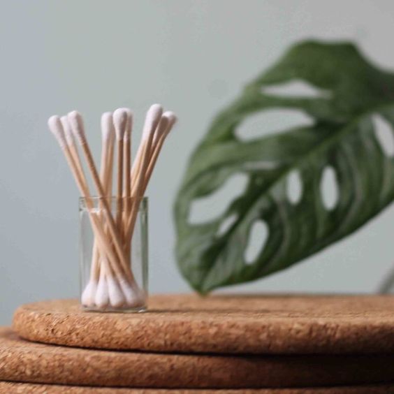 cotton buds on a piece of cork with a leaf in the background