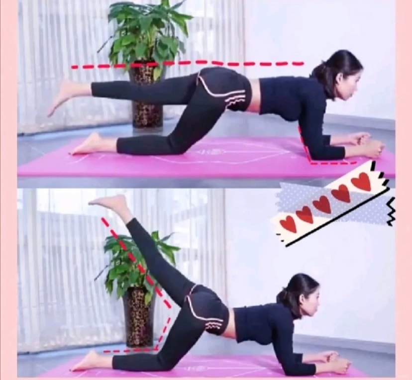 Plank Back Kicks Exercise