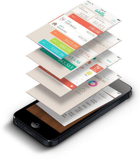 Iphone with Wally app 