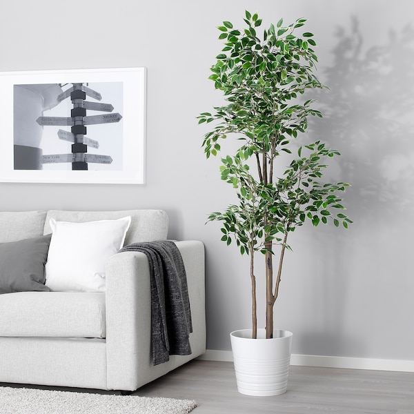 IKEA FEJKA Artificial Weeping fig plant