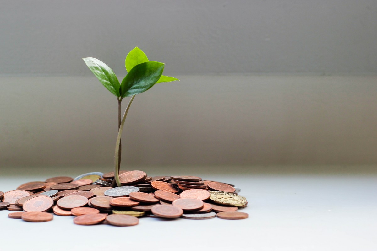 Grow your money