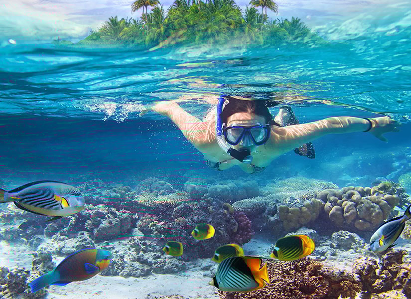 snorkelling-pinterest