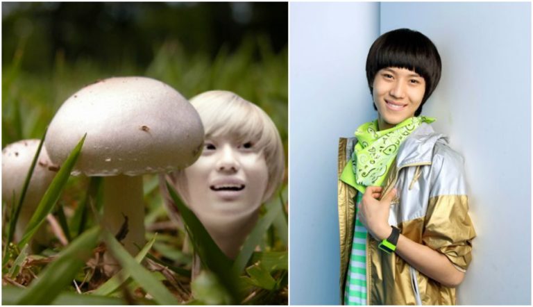  Taemin's Mushroom Head Hair