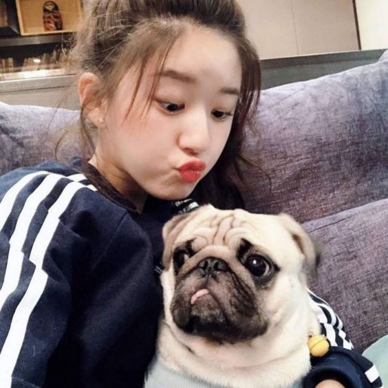 asian girl sitting on sofa with a pug