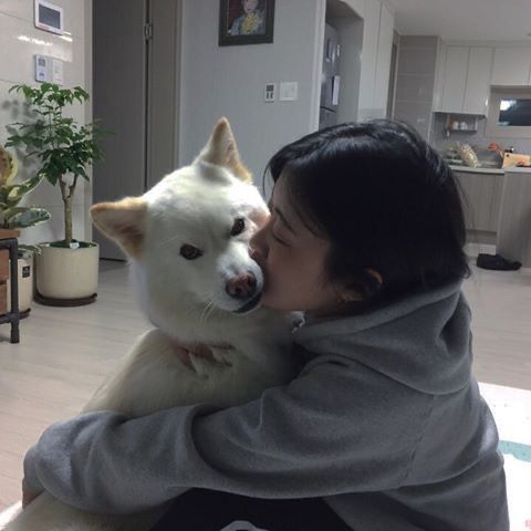 asian girl kissing a white dog