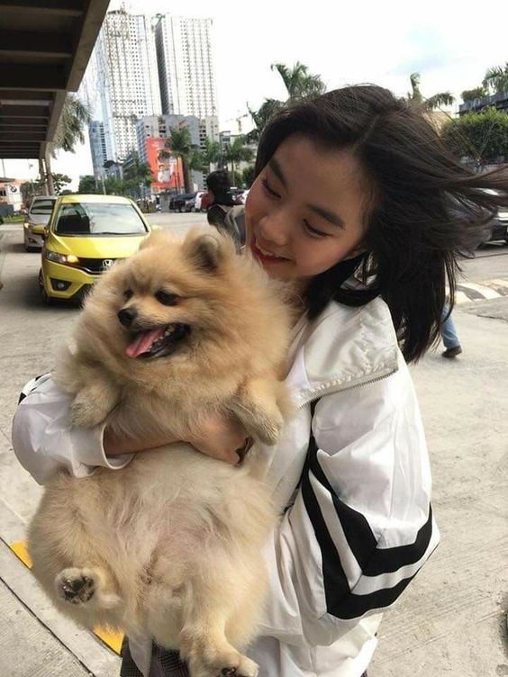 asian girl holding a small brown dog