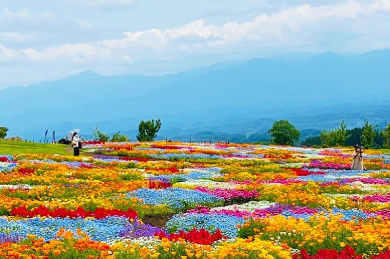 Kuju Flower Park