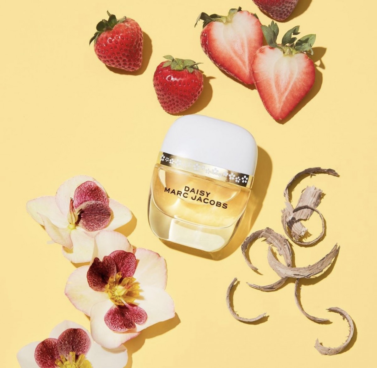 Marc Jacob Daisy Fragrance Perfume