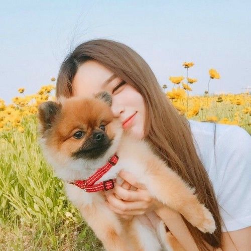 asian girl holding up Pomeranian dog in a field of flowers