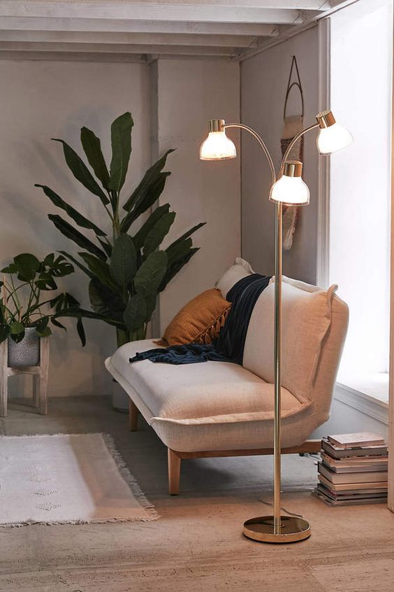Green plants in a minimalist home