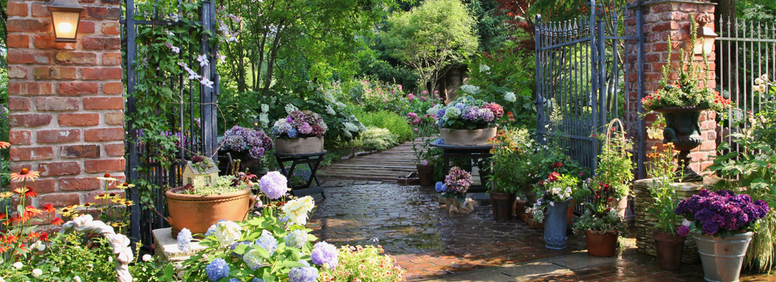 English Garden Rosa & Berry Tawada in shiga Japan