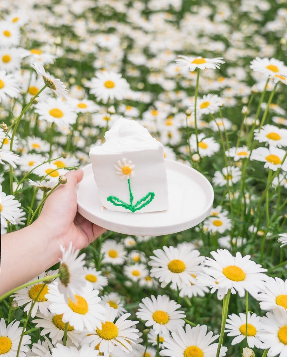 Dore Dore Cafe daisy cake