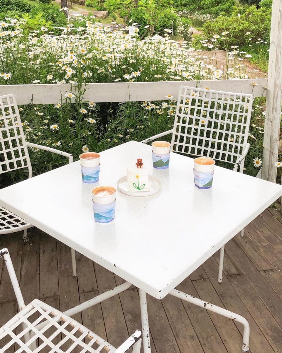 Dore Dore Cafe daisies seating area