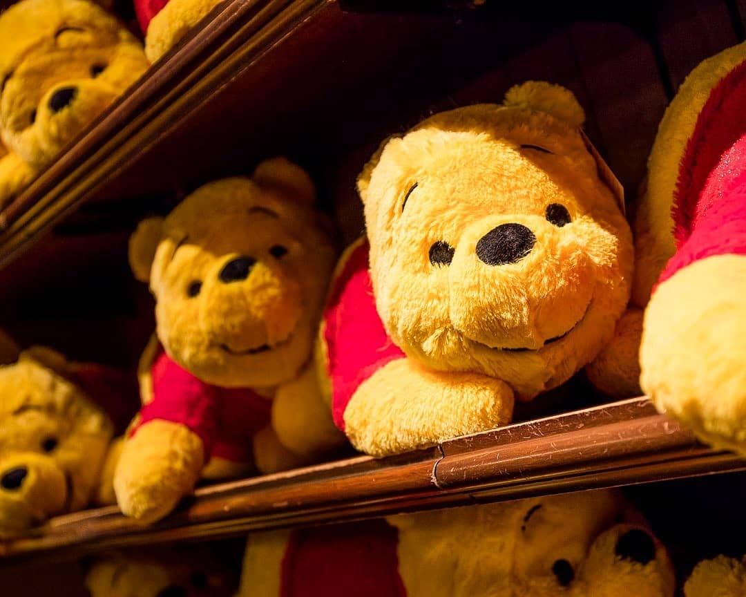 Tokyo Disneyland disneysea Winnie the Pooh plush toys