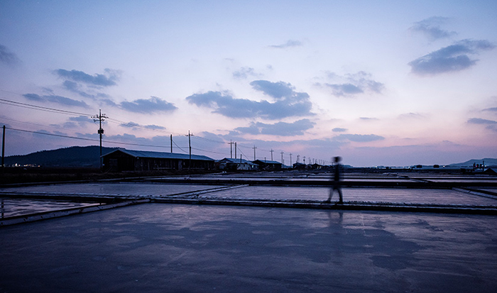 Taepyeong Salt Farm